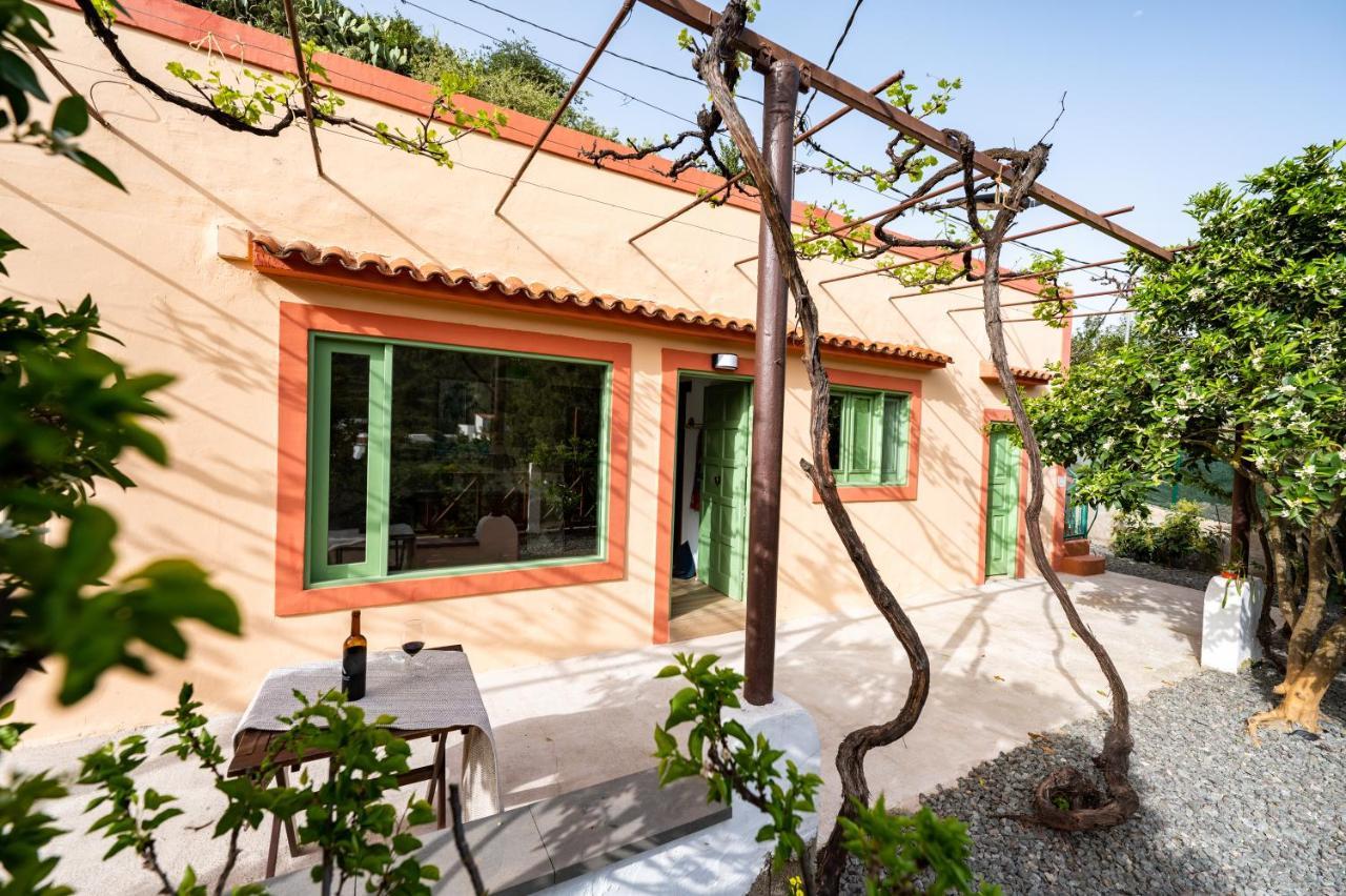 Casa Rural Bejeque Teror Ngoại thất bức ảnh