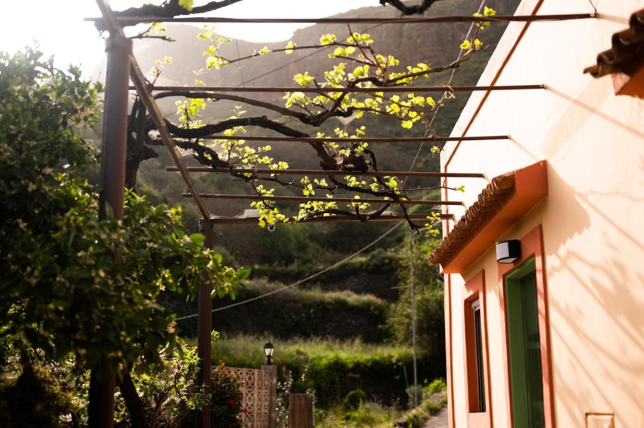 Casa Rural Bejeque Teror Ngoại thất bức ảnh