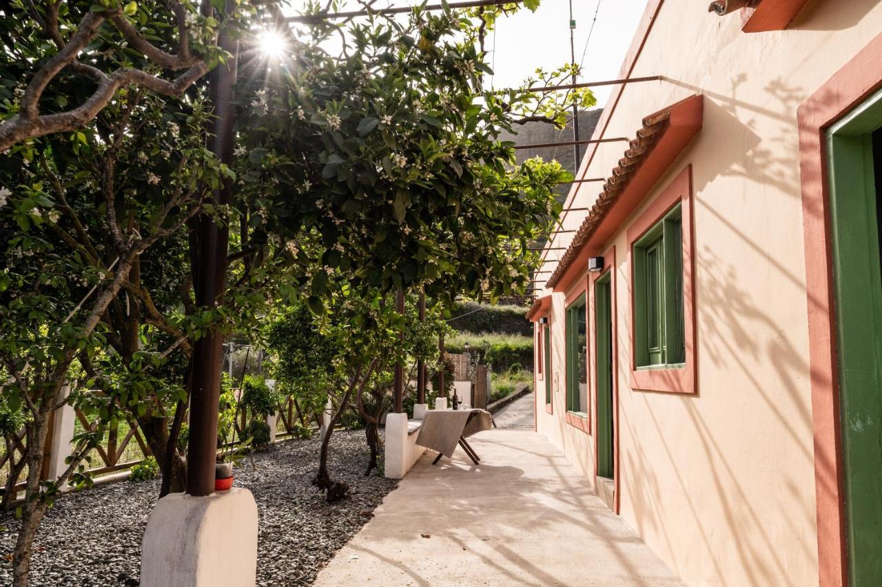 Casa Rural Bejeque Teror Ngoại thất bức ảnh